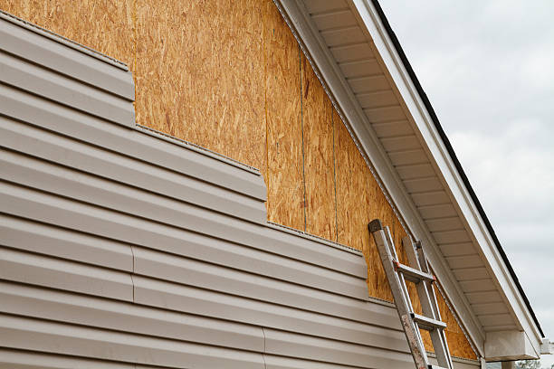 Professional Siding Inspection technician working in Green Bay, VA